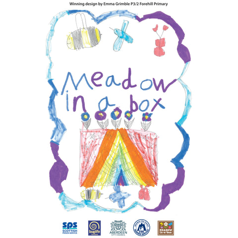 Xerox - Meadow Box